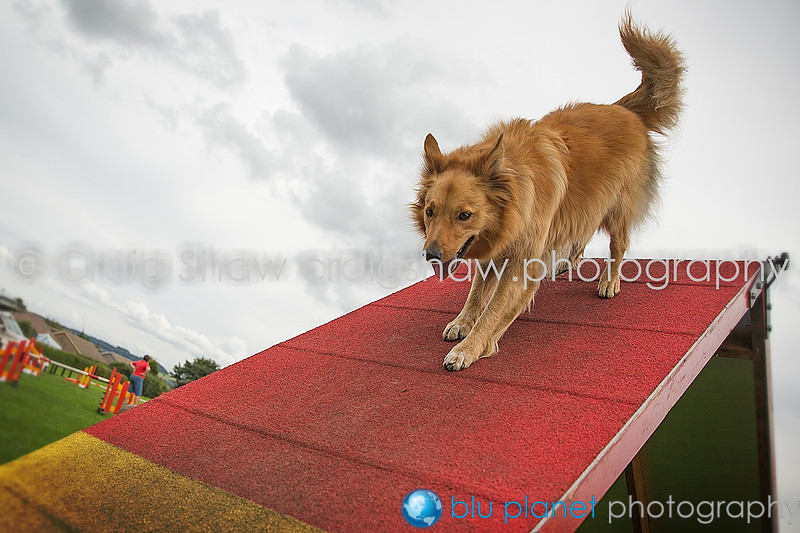 1606_SpringsPractice_Sept2015_craigshawphoto-Edit