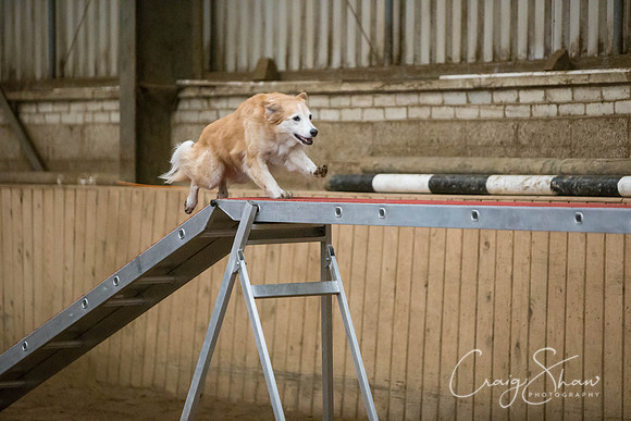 SpringFling2013-016_bluplanetphoto