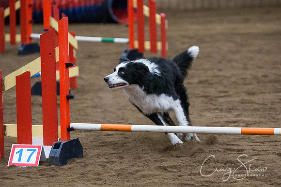 SpringFling2013-025_bluplanetphoto