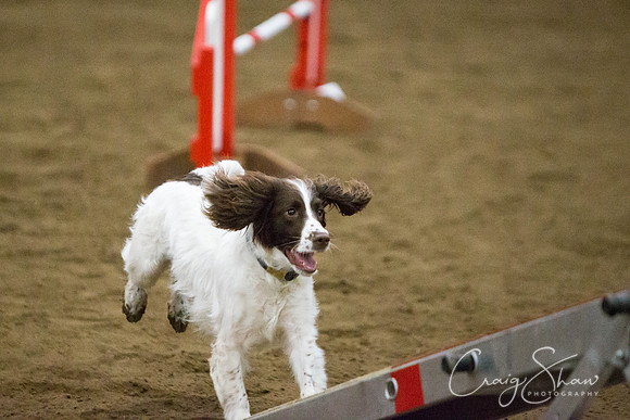 SpringFling2013-055_bluplanetphoto