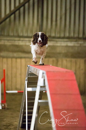 SpringFling2013-059_bluplanetphoto