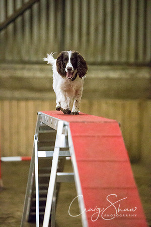 SpringFling2013-060_bluplanetphoto