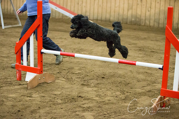 SpringFling2013-068_bluplanetphoto