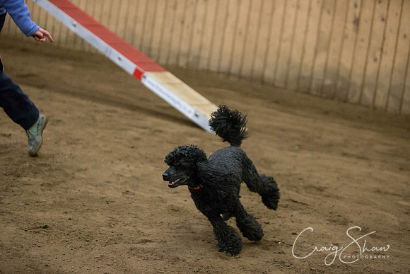 SpringFling2013-080_bluplanetphoto