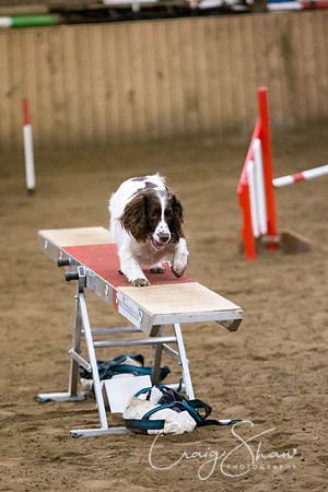 SpringFling2013-086_bluplanetphoto