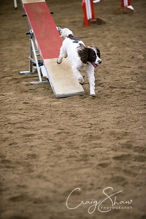 SpringFling2013-087_bluplanetphoto