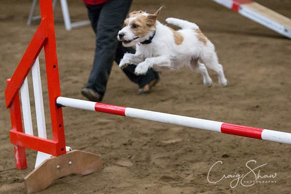 SpringFling2013-098_bluplanetphoto-Edit-Edit