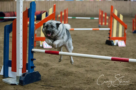 SpringFling2013-107_bluplanetphoto
