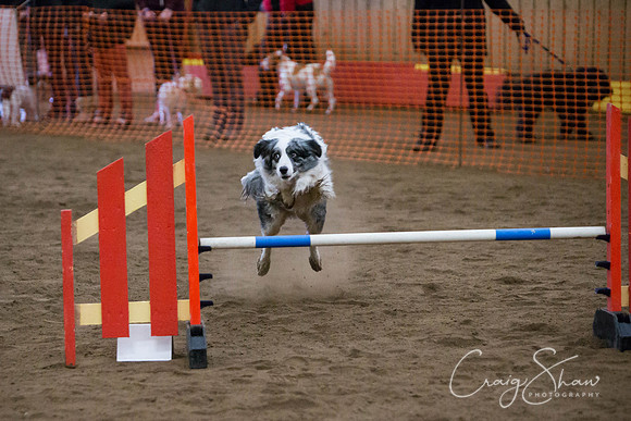 SpringFling2013-111_bluplanetphoto