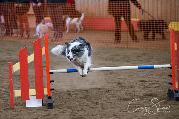 SpringFling2013-112_bluplanetphoto