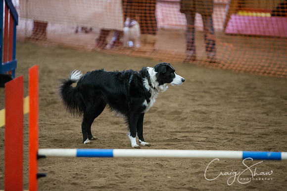 SpringFling2013-134_bluplanetphoto