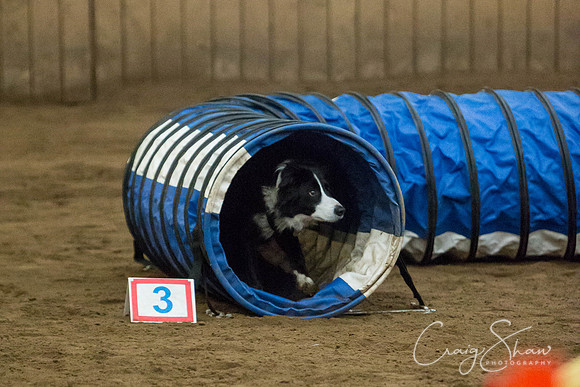 SpringFling2013-135_bluplanetphoto