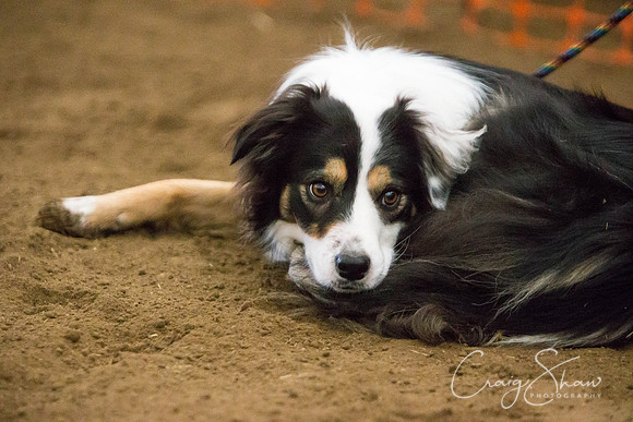 SpringFling2013-191_bluplanetphoto