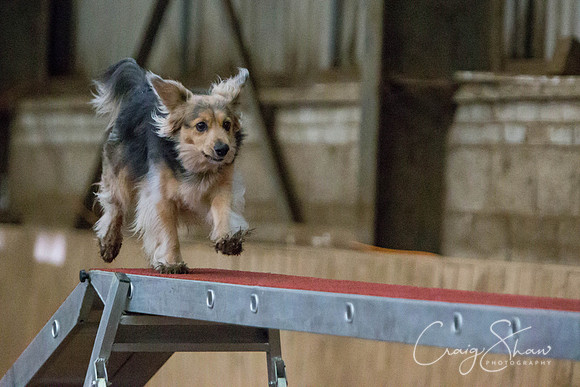 SpringFling2013-194_bluplanetphoto