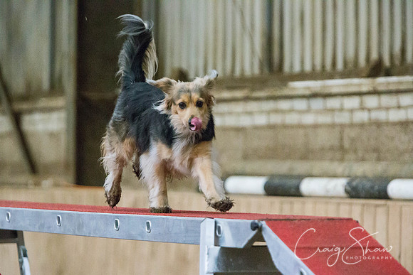 SpringFling2013-195_bluplanetphoto