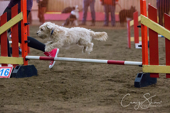 SpringFling2013-206_bluplanetphoto