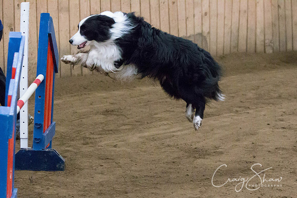 SpringFling2013-224_bluplanetphoto