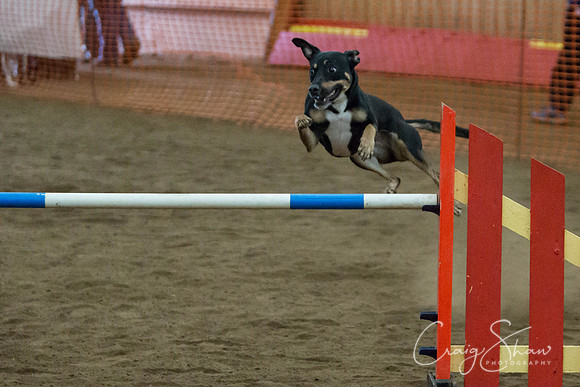SpringFling2013-227_bluplanetphoto