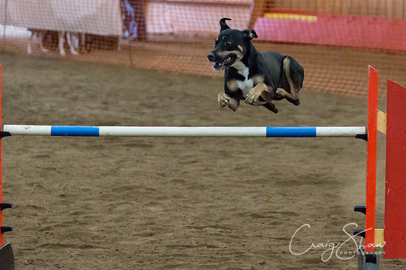 SpringFling2013-228_bluplanetphoto