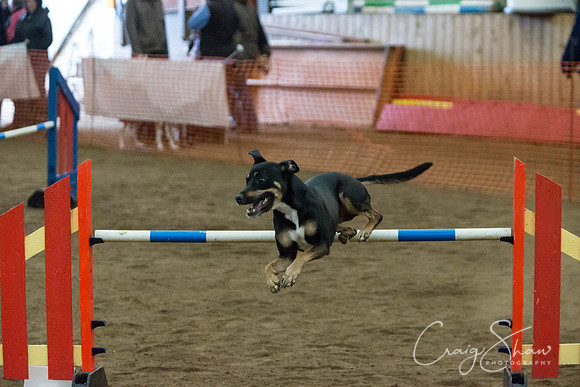 SpringFling2013-229_bluplanetphoto