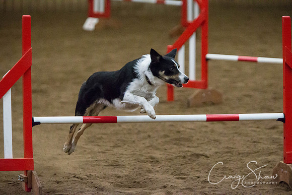 SpringFling2013-268_bluplanetphoto