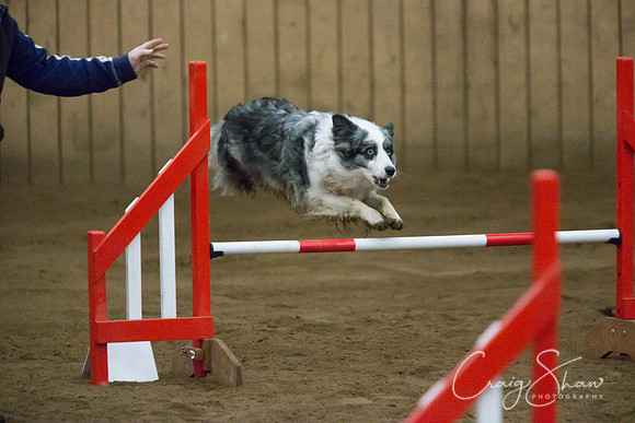 SpringFling2013-297_bluplanetphoto
