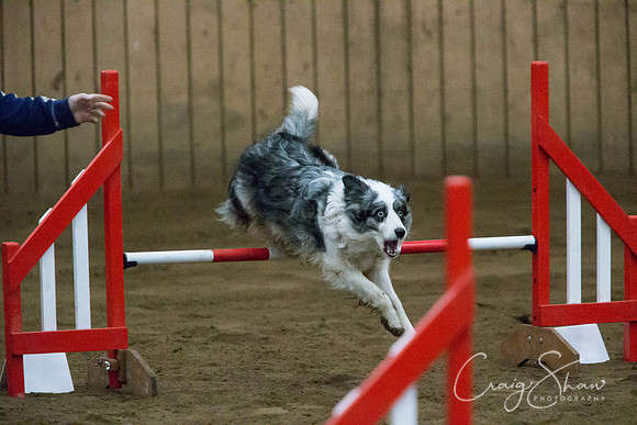 SpringFling2013-298_bluplanetphoto