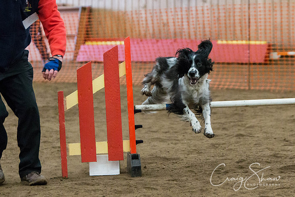 SpringFling2013-307_bluplanetphoto