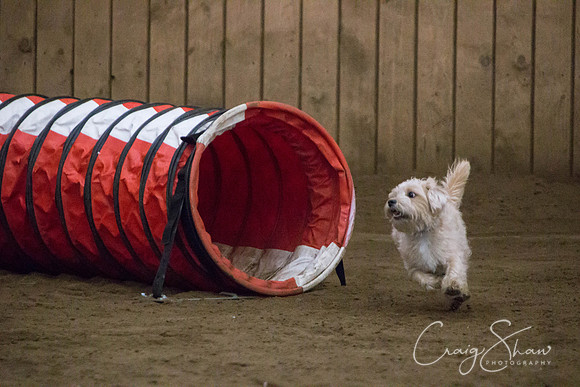 SpringFling2013-357_bluplanetphoto