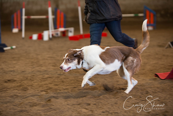 SpringFling2013-386_bluplanetphoto