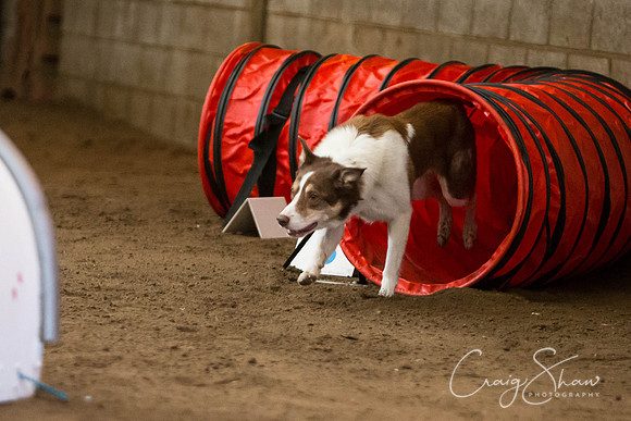 SpringFling2013-387_bluplanetphoto