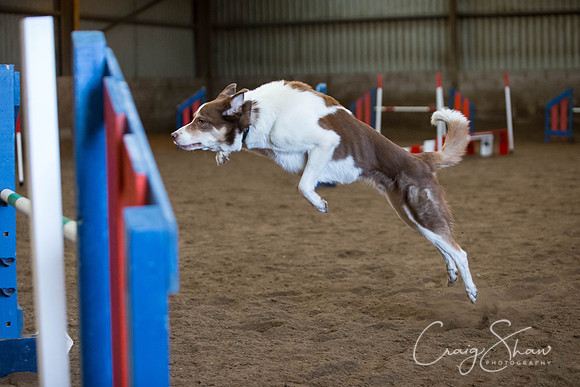 SpringFling2013-390_bluplanetphoto