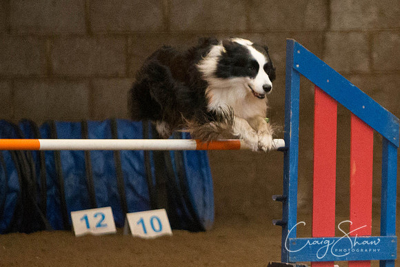 SpringFling2013-398_bluplanetphoto
