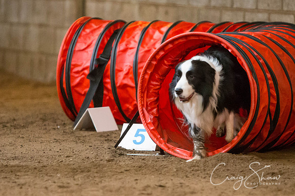 SpringFling2013-399_bluplanetphoto