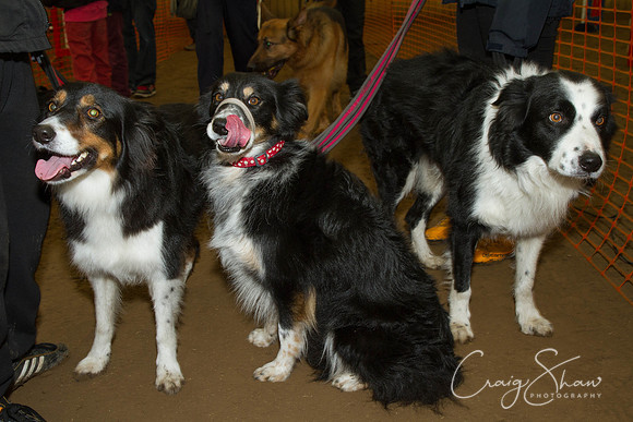 SpringFling2013-403_bluplanetphoto