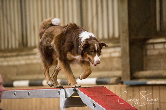 SpringFling2013-411_bluplanetphoto