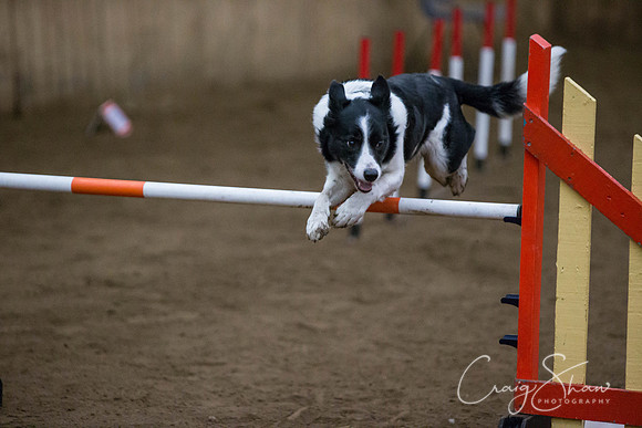 SpringFling2013-424_bluplanetphoto