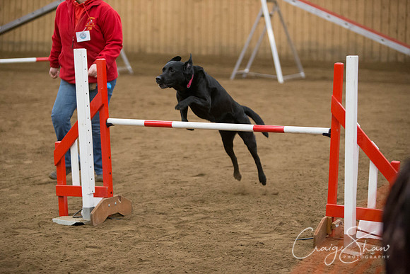 SpringFling2013-433_bluplanetphoto