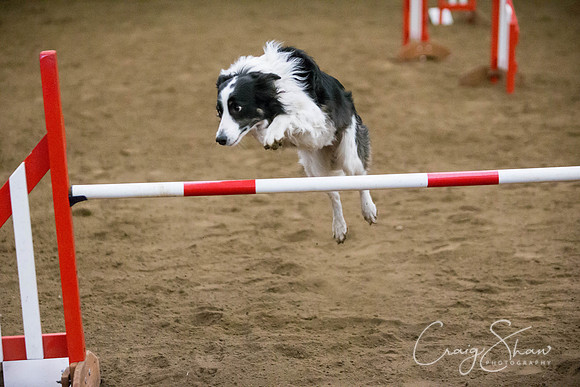 SpringFling2013-436_bluplanetphoto
