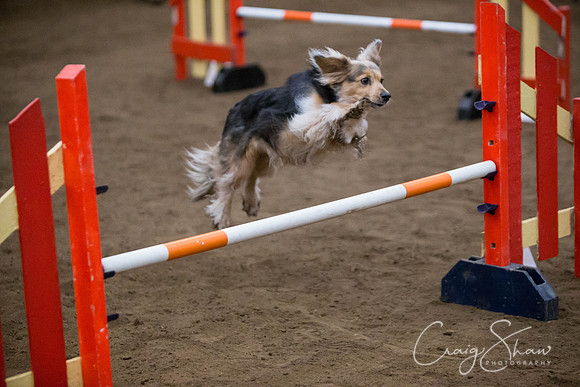 SpringFling2013-451_bluplanetphoto