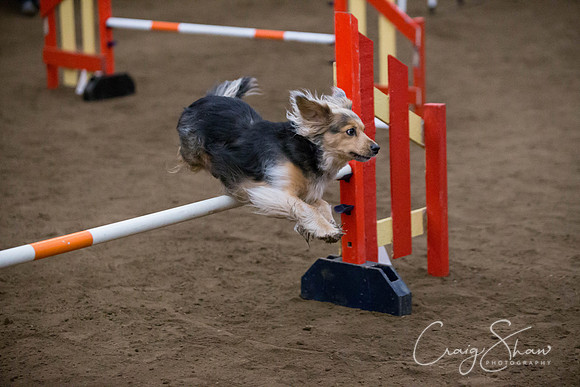 SpringFling2013-452_bluplanetphoto