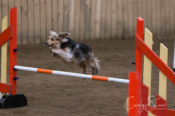 SpringFling2013-454_bluplanetphoto