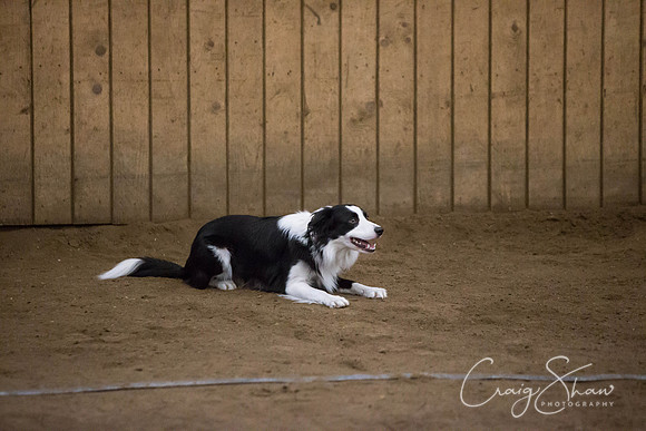 SpringFling2013-455_bluplanetphoto