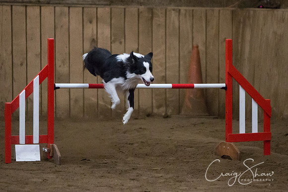 SpringFling2013-464_bluplanetphoto