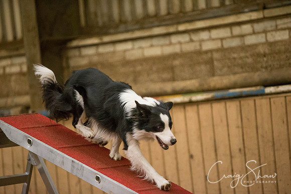 SpringFling2013-466_bluplanetphoto