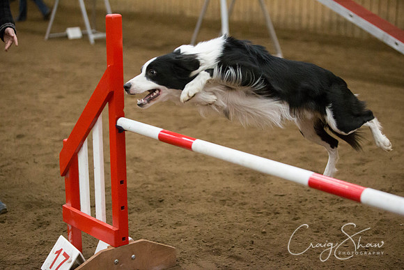 SpringFling2013-467_bluplanetphoto