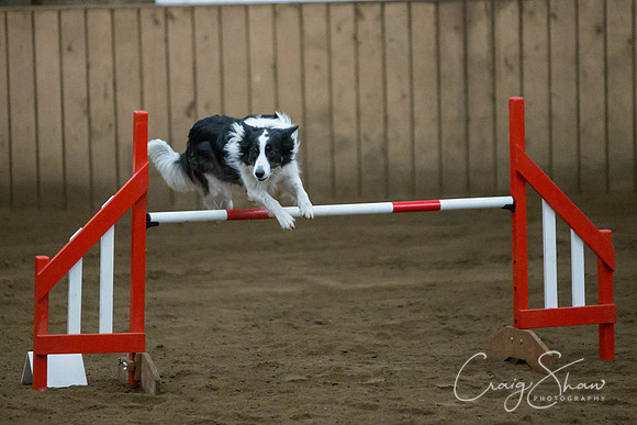 SpringFling2013-477_bluplanetphoto