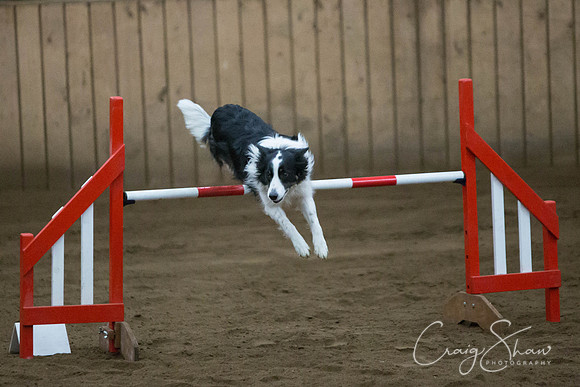 SpringFling2013-478_bluplanetphoto