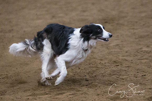 SpringFling2013-480_bluplanetphoto