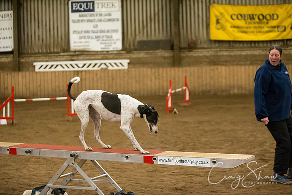 SpringFling2013-486_bluplanetphoto